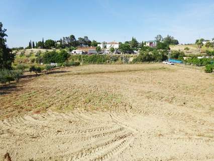 Parcela rústica en venta en Olivares