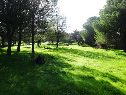 Chalet en venta en Castilblanco de los Arroyos