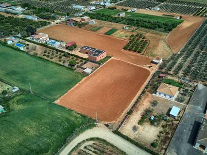 Parcela rústica en venta en Sanlúcar la Mayor