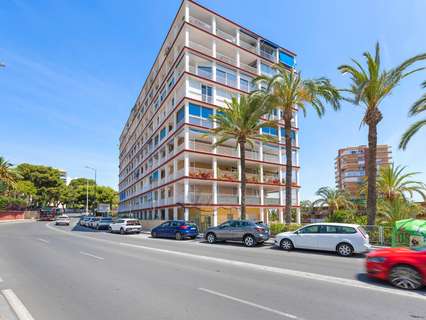 Apartamento en venta en Alicante zona Alicante