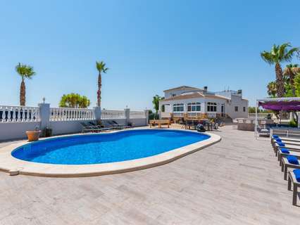 Finca en venta en Catral zona Catral