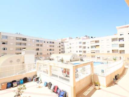 Apartamento en venta en Torrevieja zona Torrevieja