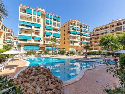 Apartamento en venta en Torrevieja zona La Mata