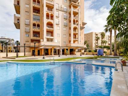 Apartamento en venta en Torrevieja zona Torrevieja