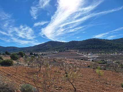 Parcela rústica en venta en El Pinós/Pinoso