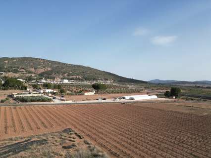 Parcela rústica en venta en El Pinós/Pinoso