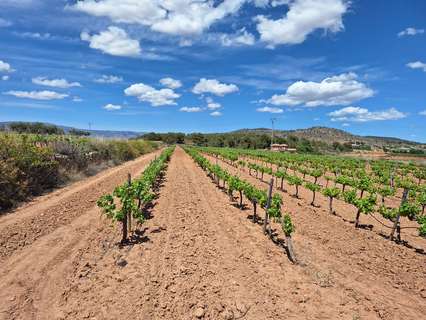 Parcela rústica en venta en El Pinós/Pinoso