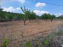 Parcela rústica en venta en El Pinós/Pinoso
