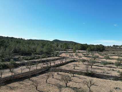 Parcela rústica en venta en Monóvar/Monòver