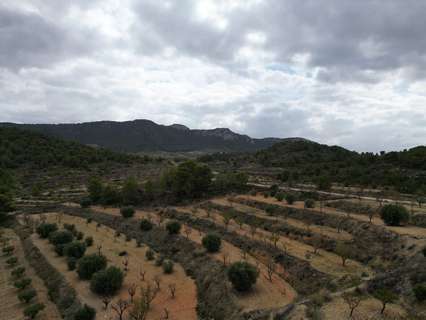 Parcela rústica en venta en Murcia zona La Zarza