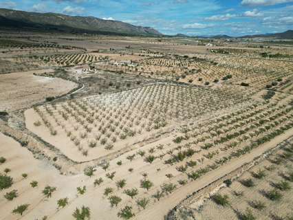 Parcela rústica en venta en El Pinós/Pinoso