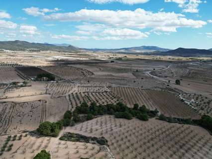 Parcela rústica en venta en El Pinós/Pinoso