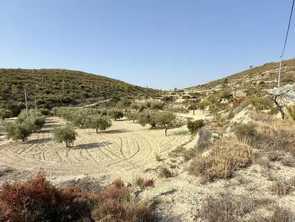 Parcela rústica en venta en Relleu zona Costa Blanca
