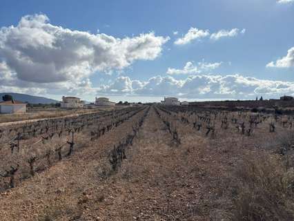 Parcela rústica en venta en El Pinós/Pinoso