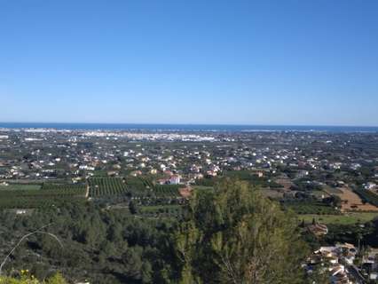 Parcela rústica en venta en Pedreguer zona Pedreguer