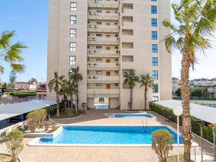 Apartamento en venta en Torrevieja zona La Veleta