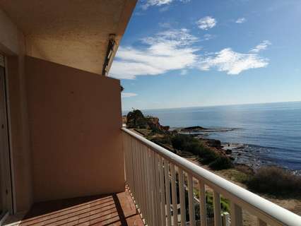 Apartamento en venta en Torrevieja zona Los Frutales