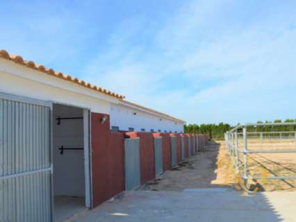 Parcela rústica en venta en San Miguel de Salinas zona Inland