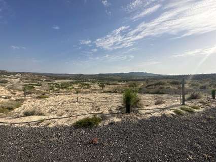 Parcela rústica en venta en Orihuela zona Torremendo