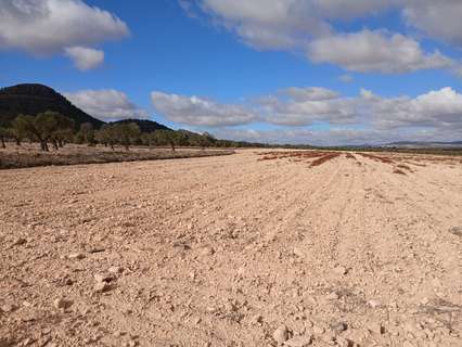 Parcela rústica en venta en Yecla zona Inland