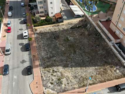 Parcela rústica en venta en Guardamar del Segura zona Costa Blanca