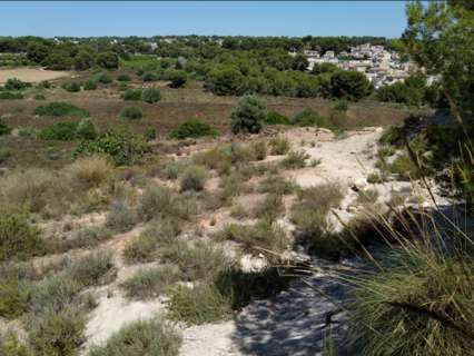 Parcela rústica en venta en Pilar de la Horadada zona Pinar De Campoverde