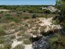 Parcela rústica en venta en Pilar de la Horadada zona Pinar De Campoverde