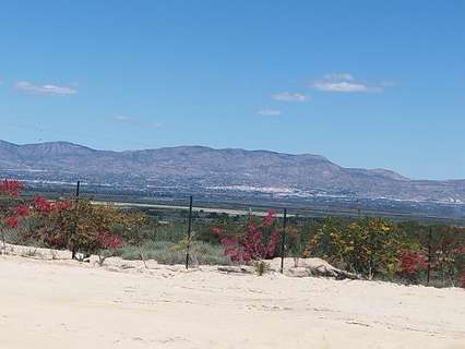 Parcela rústica en venta en San Fulgencio zona La Marina
