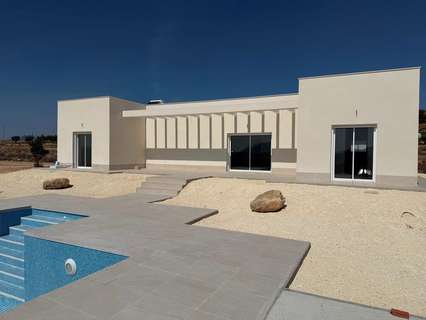 Villa en venta en El Pinós/Pinoso