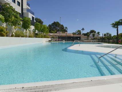 Apartamento en venta en Orihuela zona Dehesa de Campoamor