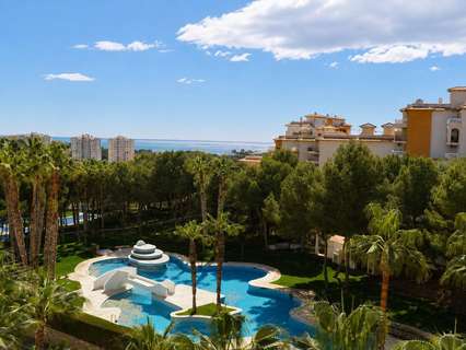 Apartamento en venta en Orihuela zona Orihuela-Costa