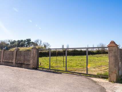 Parcela industrial en venta en Albalat de la Ribera