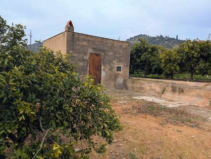 Parcela rústica en venta en Alcanar