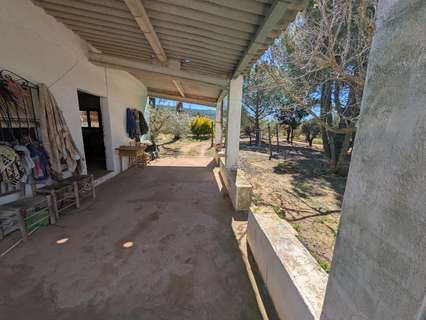 Parcela rústica en venta en Ulldecona