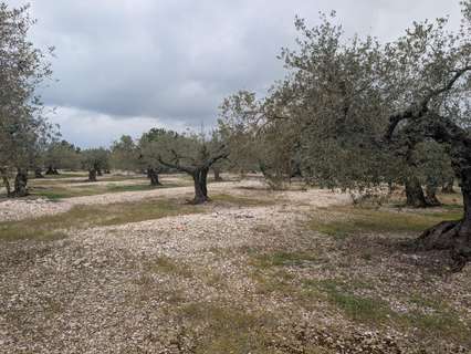 Parcela rústica en venta en Traiguera