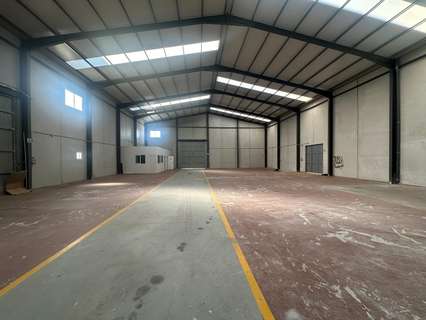 Nave industrial en alquiler en San Fulgencio