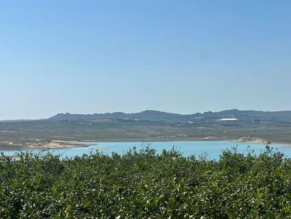 Parcela rústica en venta en Orihuela