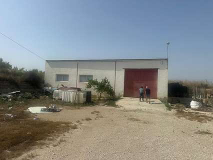 Parcela rústica en venta en Orihuela zona Torremendo