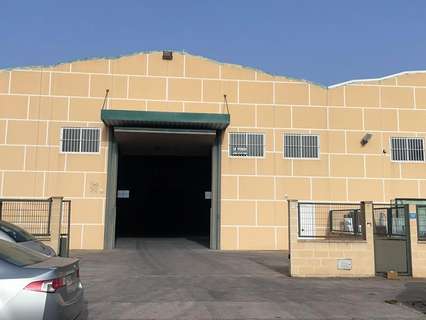 Nave industrial en alquiler en Rojales