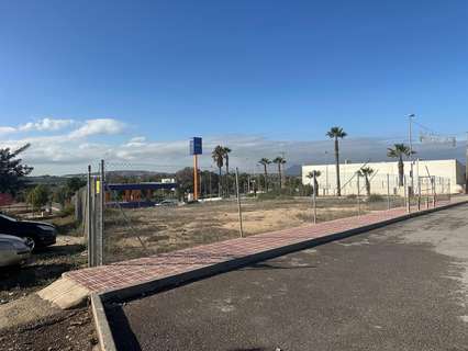 Parcela rústica en alquiler en Benijófar