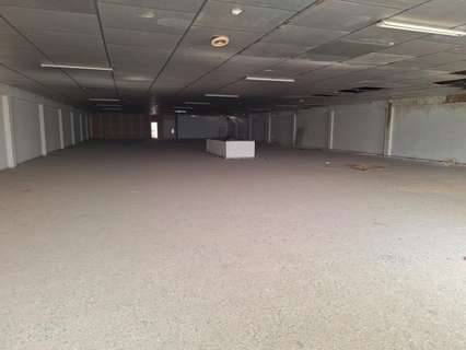 Nave industrial en alquiler en Almoradí