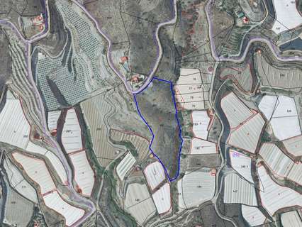 Parcela rústica en venta en Motril