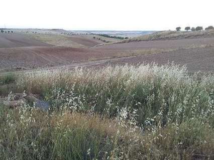 Parcela rústica en venta en Tórtola de Henares rebajada