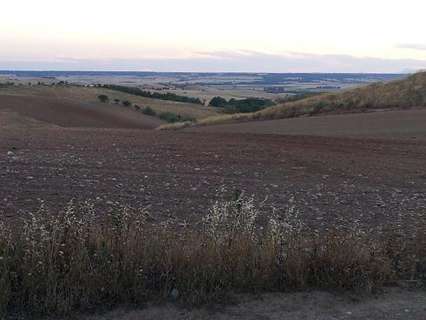 Parcela rústica en venta en Tórtola de Henares