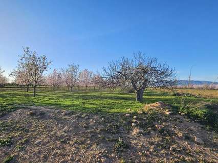 Parcela rústica en venta en Fuente Álamo de Murcia