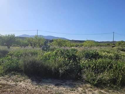 Parcela rústica en venta en Murcia zona Corvera