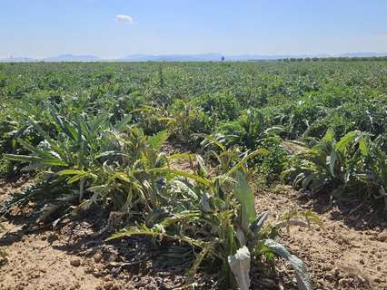 Parcela rústica en venta en Murcia