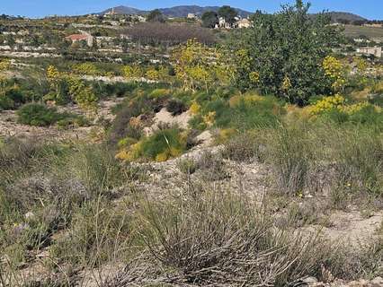 Parcela rústica en venta en Murcia
