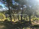 Parcela urbana en venta en Canyelles