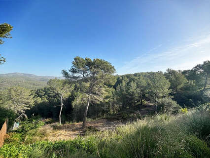 Parcela urbana en venta en Sant Pere de Ribes